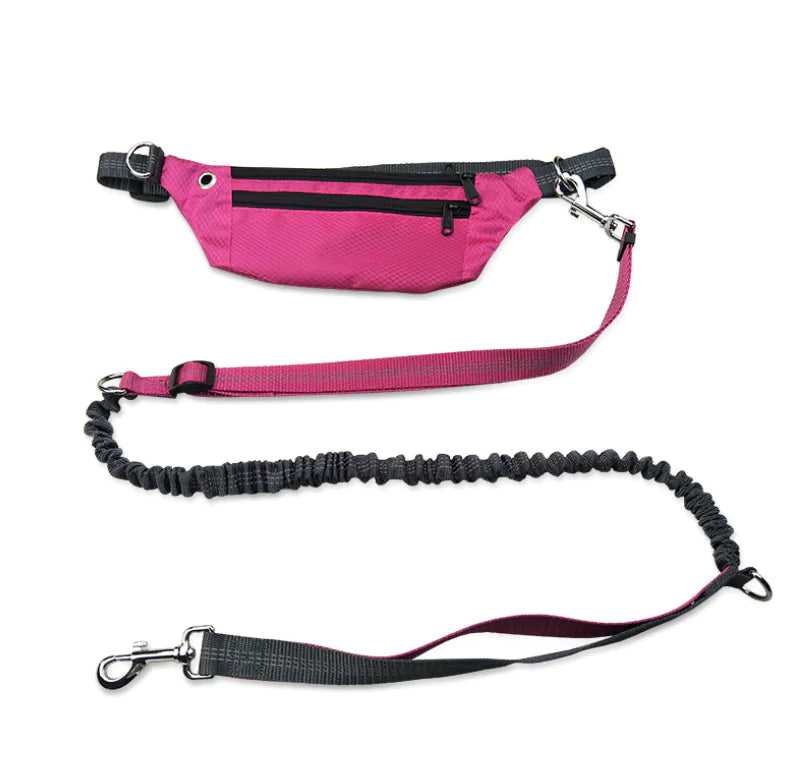 Waterproof Crocodile Pattern Dog Leash Waist Bag