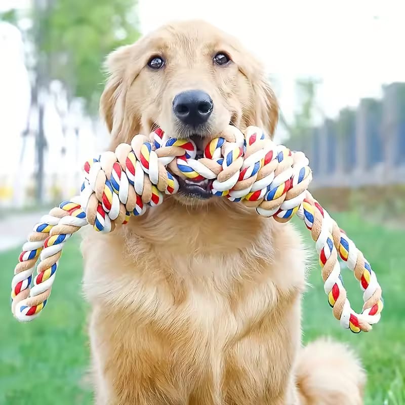 Pet Bite Rope Dog Chew Toy with Teeth Cleaner