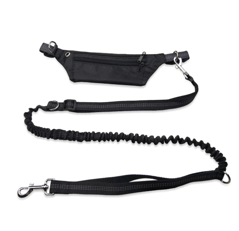 Waterproof Crocodile Pattern Dog Leash Waist Bag