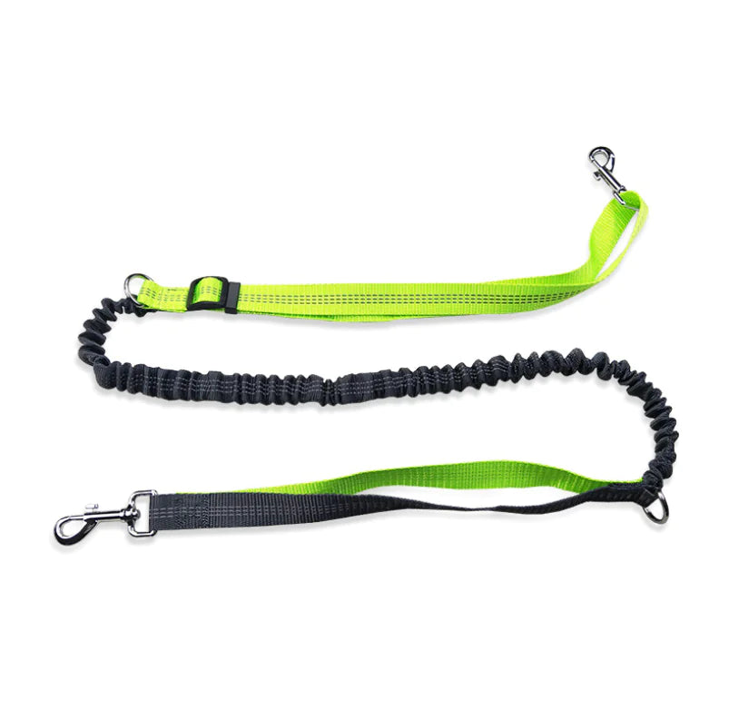 Waterproof Crocodile Pattern Dog Leash Waist Bag