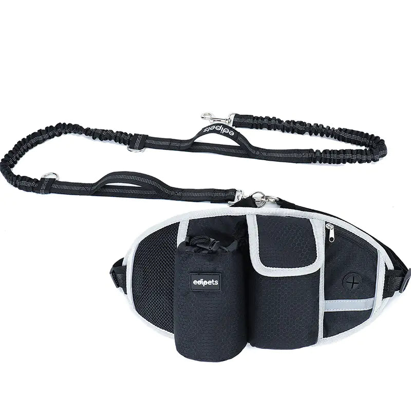 Dog Running Leash, Nylon Pet Leash with Waist Bag, Retractable Elastic Belt, Dog Traction Rope