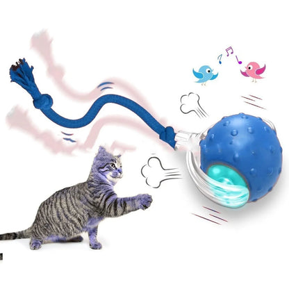 Bola Interativa para Gatos