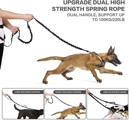 Dog Running Leash, Nylon Pet Leash with Waist Bag, Retractable Elastic Belt, Dog Traction Rope