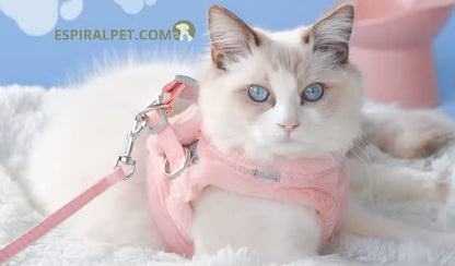 Plush Warm Vest for Dogs with Leash Included