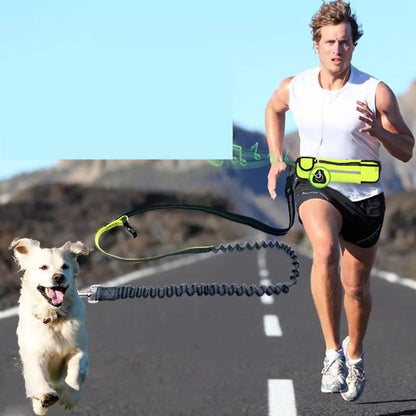 Pet Purse Leash for Convenient Dog Walking