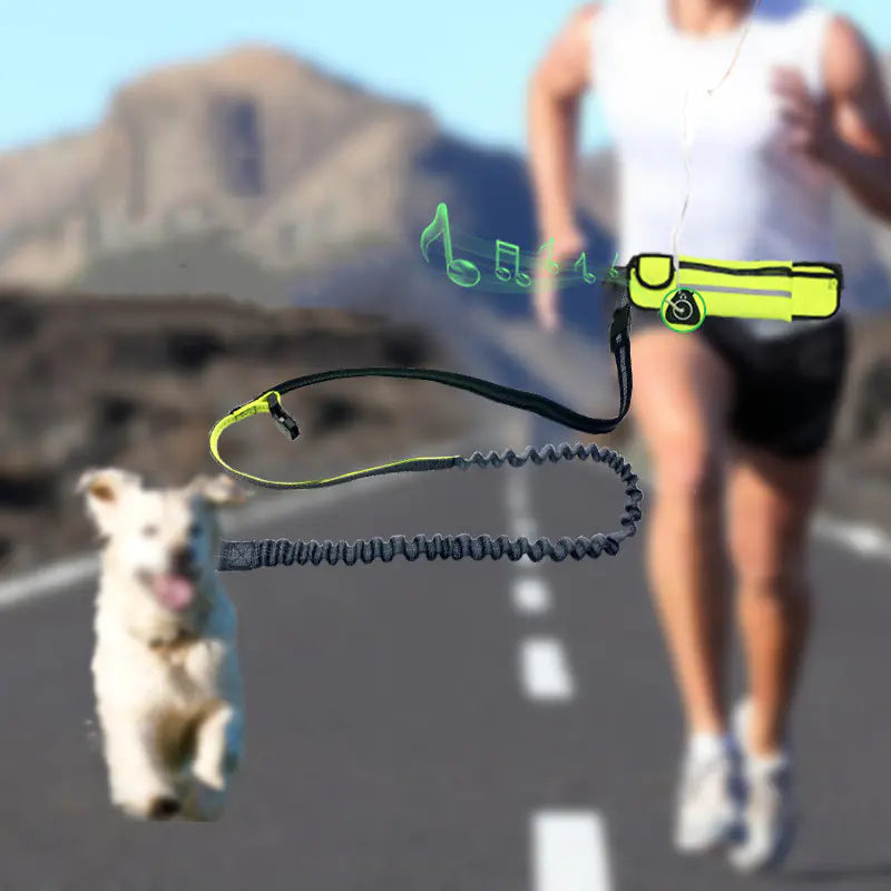 Waterproof Waist Bag for Pets - Sports Running Leash