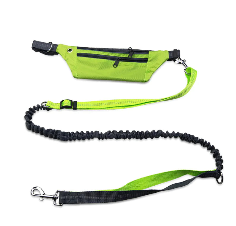 Waterproof Crocodile Pattern Dog Leash Waist Bag