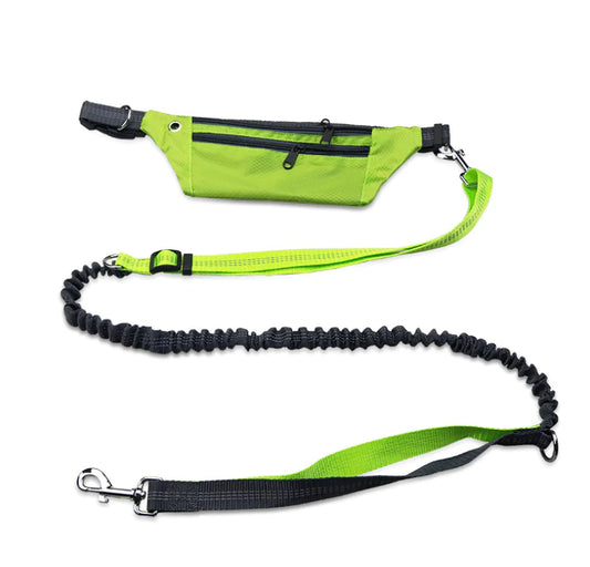 Waterproof Crocodile Pattern Dog Leash Waist Bag