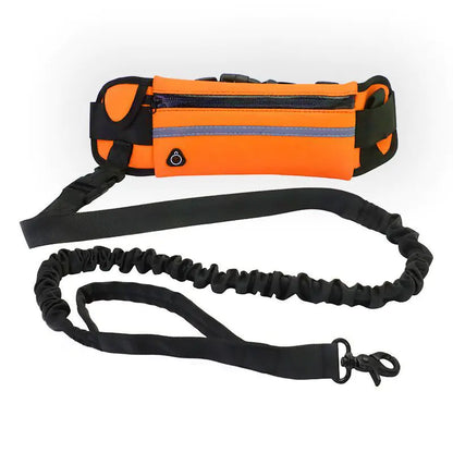Pet Purse Leash for Convenient Dog Walking