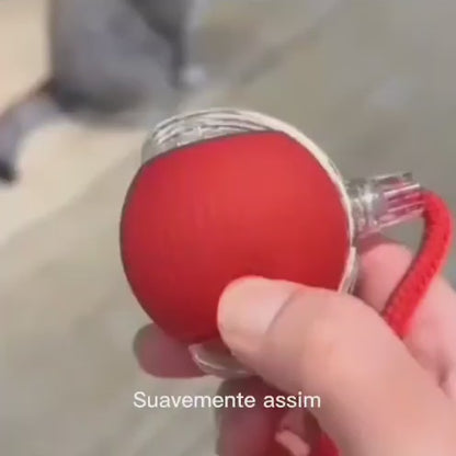 Bola Interativa para Gatos