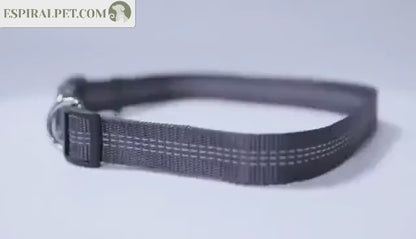 Pet Purse Leash for Convenient Dog Walking