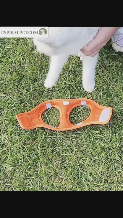 Reflective Dog Chest Harness with Mesh and Leash